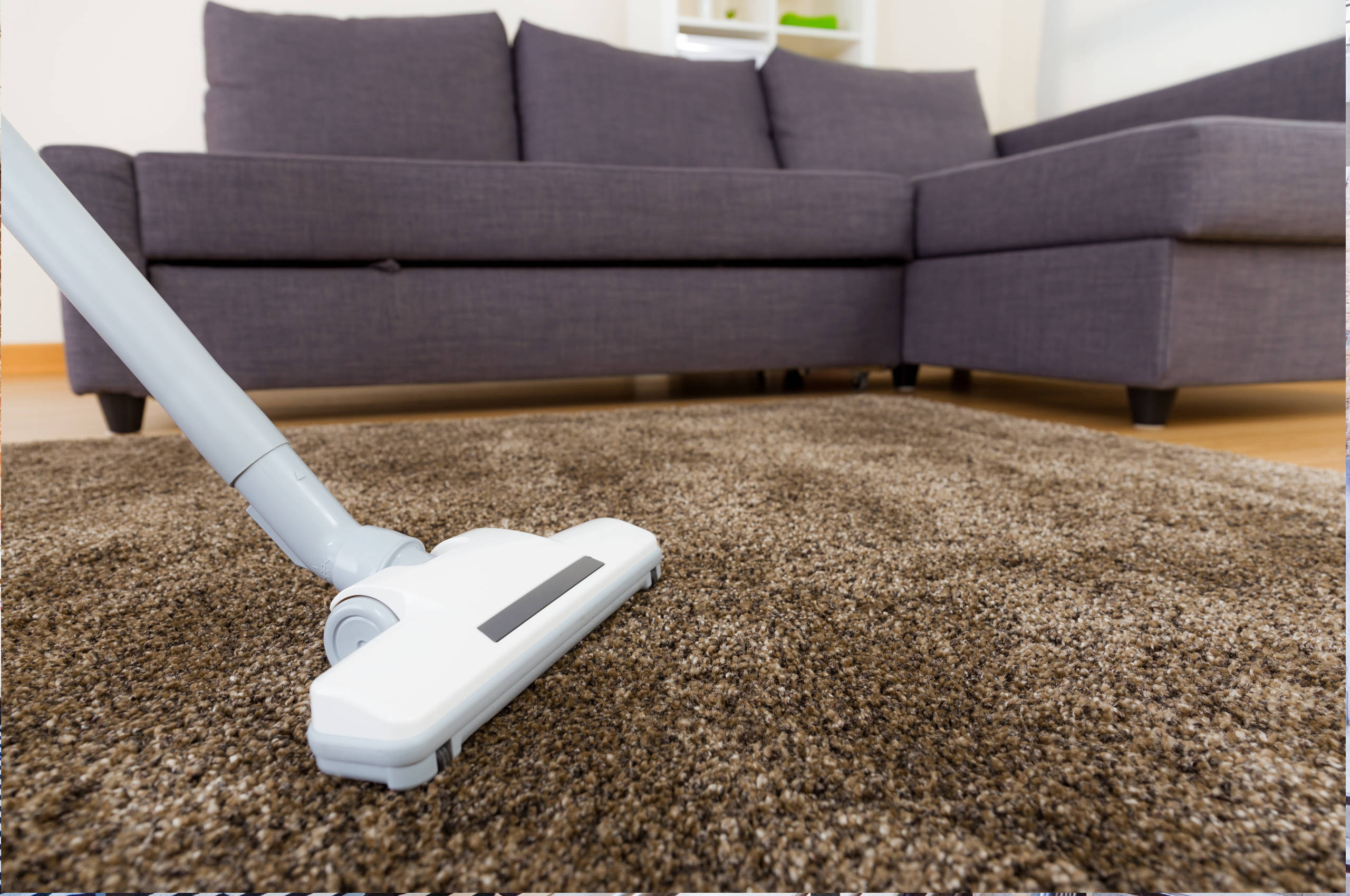 1 carpet cleaning solutionscleaning